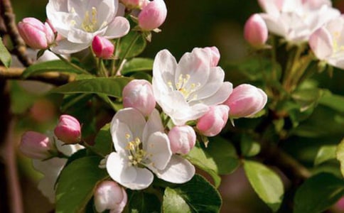 �����㺣�ġ�����̨��(����9ƪ)