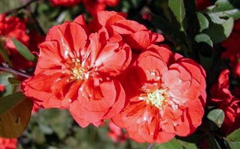 ���㺣�ĵľ���̨��100��