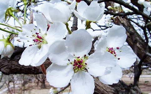 ���㺣�ľ���̨��15ƪ