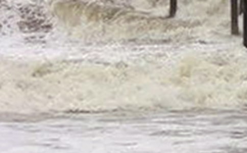 ����Х���Ķ������Ķ���