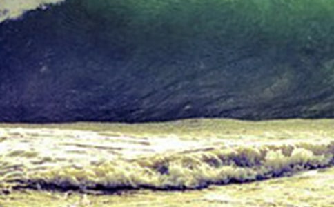 ���ֺ�Х��һ�������꼶����