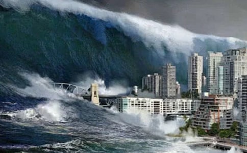 Ϊ��Х�����װ�������