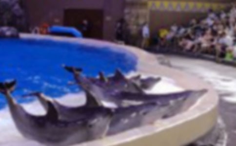 �������������9ƪ�����䣩