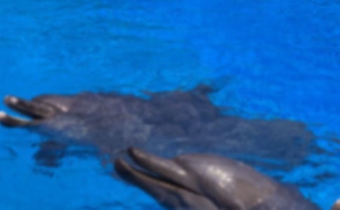 д���������