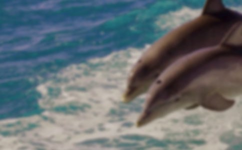 ������˷�˼