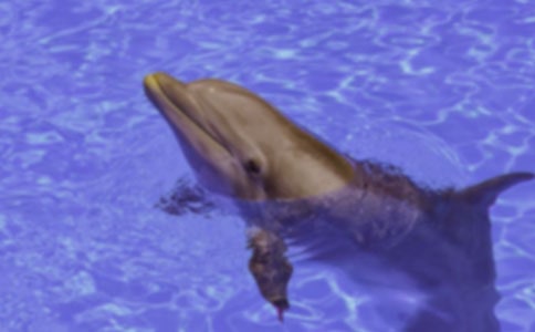 [�ر�]�ɰ��ĺ�������3ƪ