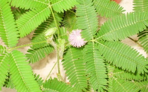 ����ĺ��߲����ģ�ͨ��28ƪ��