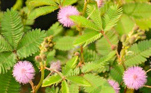 ���߲�����(��)��ͨ��50ƪ��