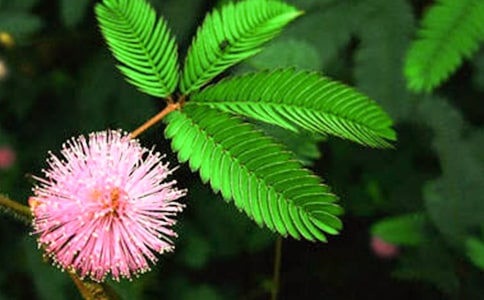 ���߲����ģ�ͨ��36ƪ��