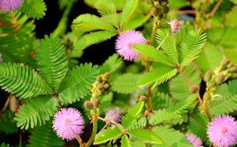 ���������߲�����