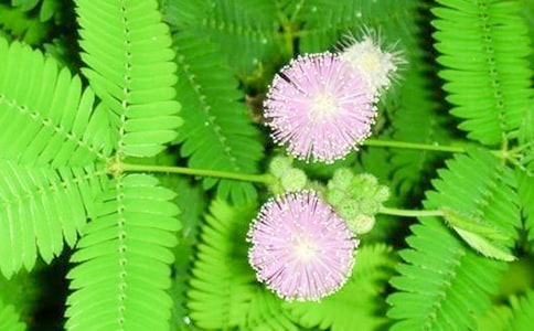 ���ȡ����߲�����