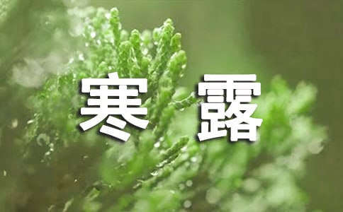 寒露节气说说