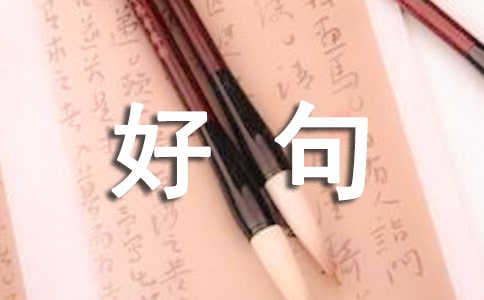 小学好句好段摘抄大全