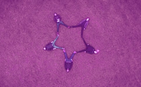 ����һ�����κ����