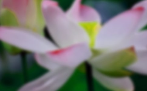 ��д�ɻ�����������