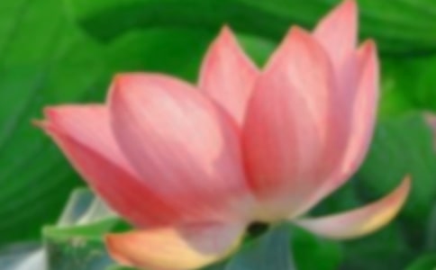 �ɻ���ͯ������������