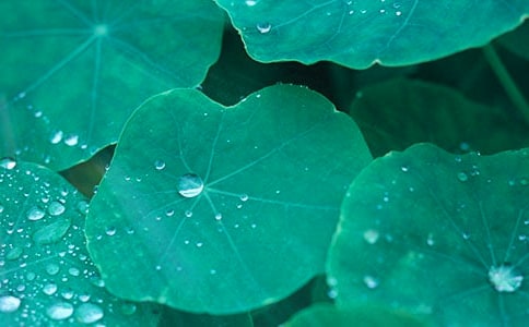 ��ҶԲԲ�̰�ģ��ϼ�7ƪ