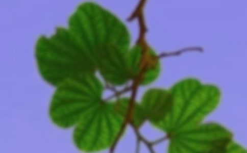 ��г����Ⱥ����