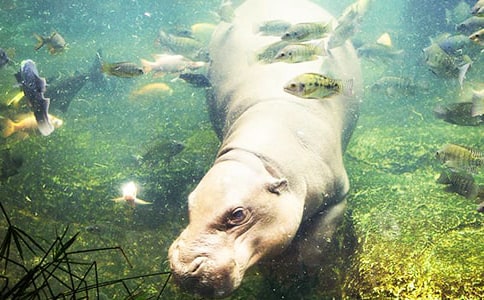 С�ཡ�����������ֵ�С����