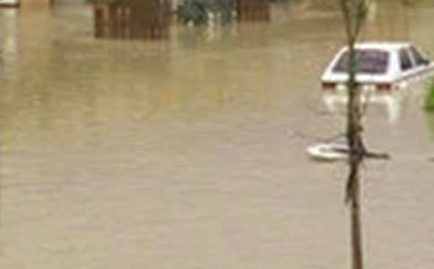 ��ˮ�����ֺ��ؽ�������ͨ��5ƪ��