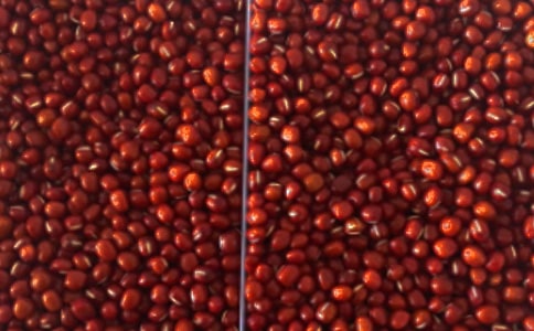 �춹����˼��ʫ��