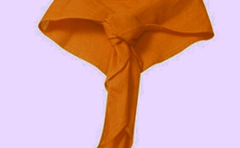 小学红领巾广播稿