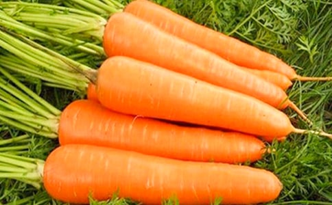 ���ܲ����������