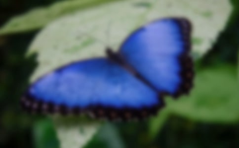 ���꼶�������ļҡ��̰�