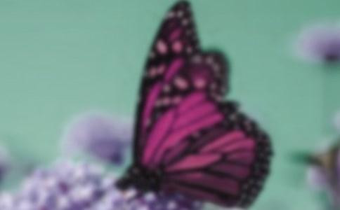 Ӳ�ʴ���������۷�