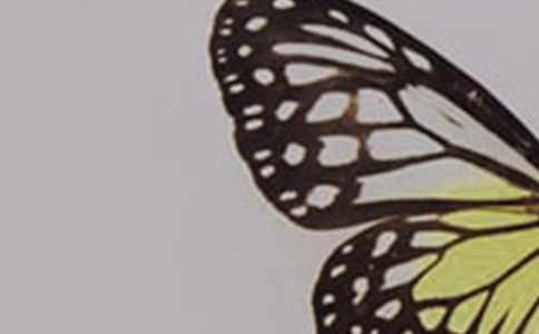 ����ֽ��������ͼ��