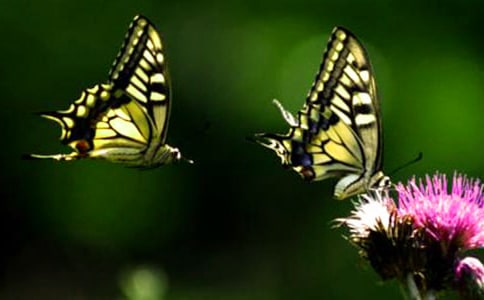 ����������300�ֽ���[3ƪ]