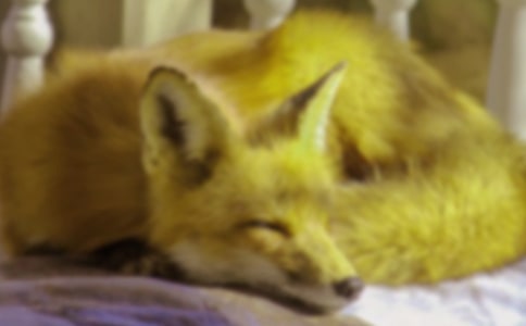 ���ĵ�С���꿴ͼд�����ģ�ͨ��20ƪ��