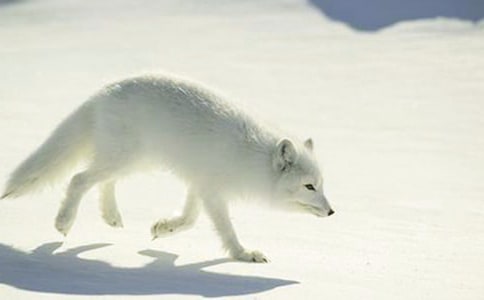 �����˲���ĺ���ְ֡��������