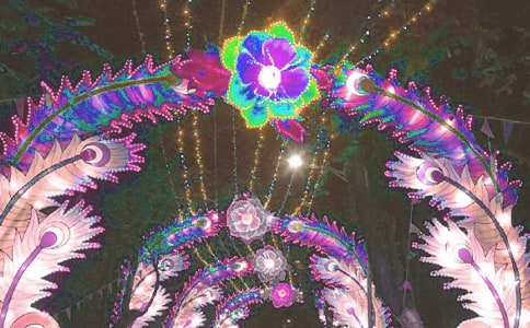 �ۻ�������15ƪ(��ѡ)