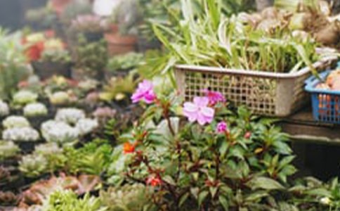 �����޻�����������Ӫ�ƻ�