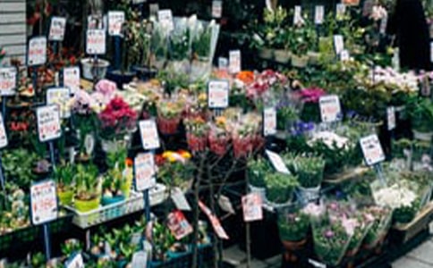 С�󻨵�����⾭����