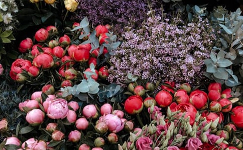 ���괴ҵ�ƻ���