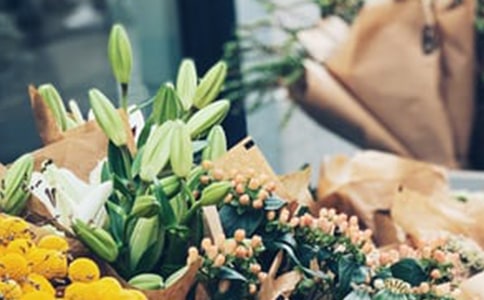 ���괴ҵ�ƻ��鷶��