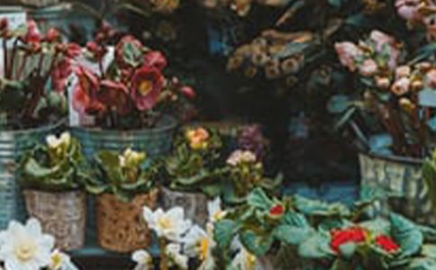 ����Ӫ���߻���������