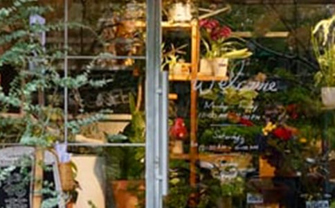 �йػ��괴ҵ�ƻ���