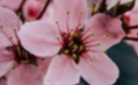 ���컨�����������