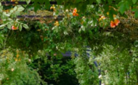 ���ӻ�԰����