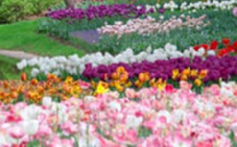 ���˵Ļ�԰��ѧ��˼��ѧ��˼����