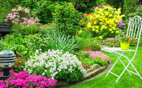 ���˵Ļ�԰����