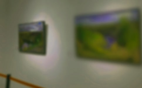 �黭չ��������ѡ20ƪ��