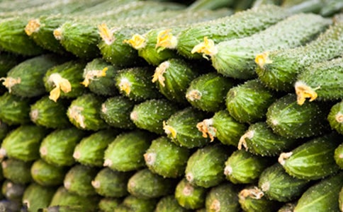 ��������ƹϡ���������̰�