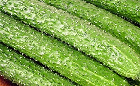 �ƹϵ���������5ƪ