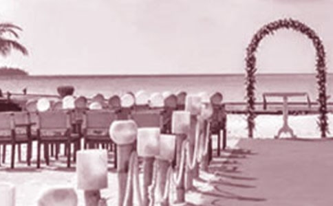 婚礼主持人台词开场白