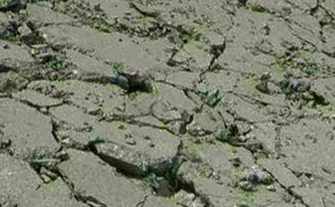 ����������վ����Э��