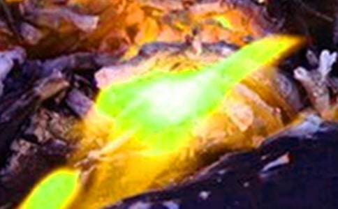 火灾处置应急预案